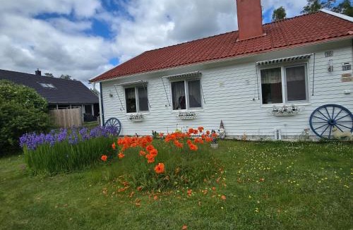 Svarta House | Stuga Ani