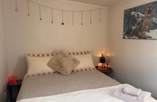 Matarangi House | Sunsets on Harbour Kauri or Totara Cabin