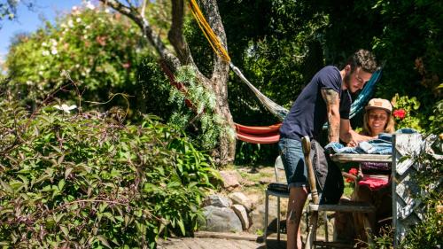 Nelson Hostel | The Palace Backpackers