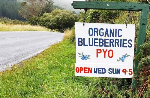 Lower Hutt House | Tiny House Train-Eco stay