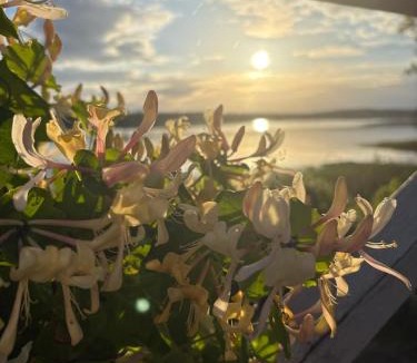 Sodersvik House | Toppstugan
