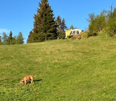 Trondheim Other | Torshaug glamping