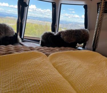 Trondheim Other | Torshaug glamping