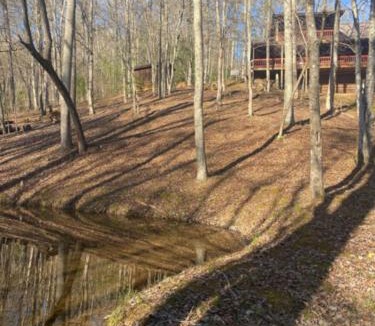 My Mountain House | Tranquility Pond