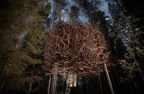 Harads Cabin | Treehotel