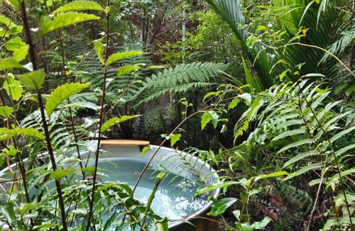 Punakaiki House | Treescapes - Rainforest Hot Tub 2km from Punakaiki