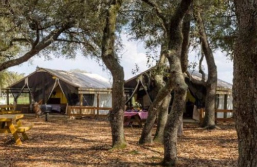River Ranch Resort | Unique, River Ranch & Rodeo, Fl 2 Cabins, Nov Dec Enjoy Exhilarating Activities
