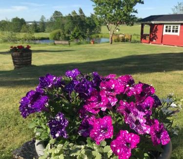 Kristinehamn Cabin | Valla Stuga