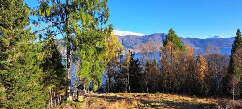 Balestrand House | Vesletun