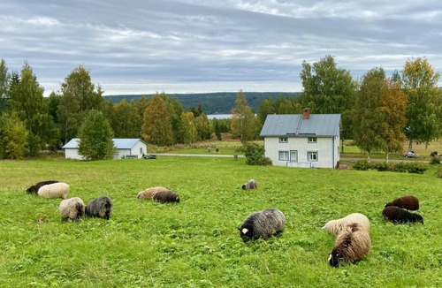 Stromsund House | Vildmarksgård Lillviken