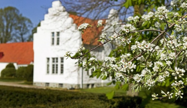 Ängavallen