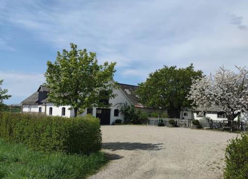 Öja