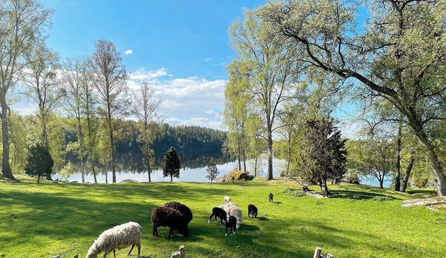 3 person holiday home in MÖLNBO