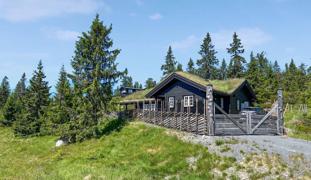 Amazing home in Sjusjøen with sauna