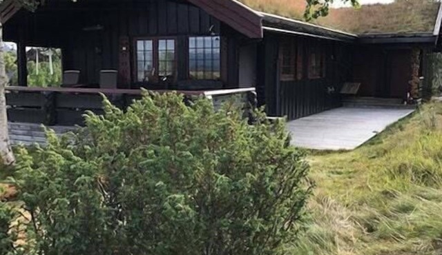 Authentic cabin overlooking Lake Møsvann
