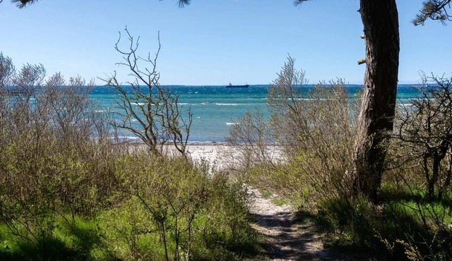 Beach Camp