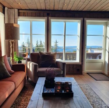 Beautiful cabin at Lifjell perfectly located for hiking and skiing with sauna