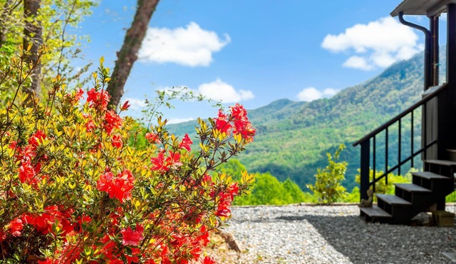 Big View, Fire Pit, Cozy and Romantic - Writer's Block by Carolina Properties