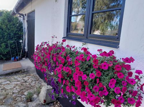 Brösarp Källagården Lilla Gårdslägenheten