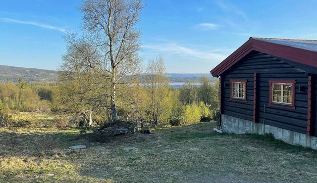 Charming mountain cabin near Hemsedal