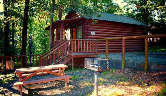 Cozy Cabin with Fire Pit pavilion near boat ramp