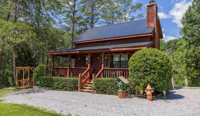 Cozy Pet Friendly Cabin! Pool Access, & Hot Tub!