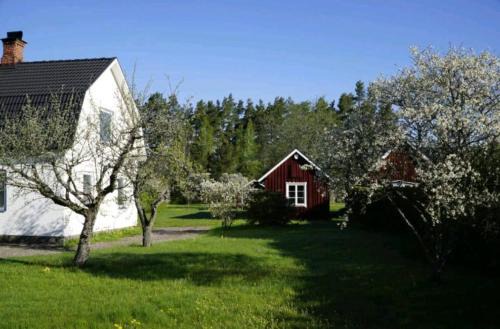 Emil hemma