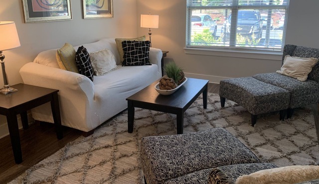 Fabulous 2bed/2bath Fully Furnished Apt in Duluth