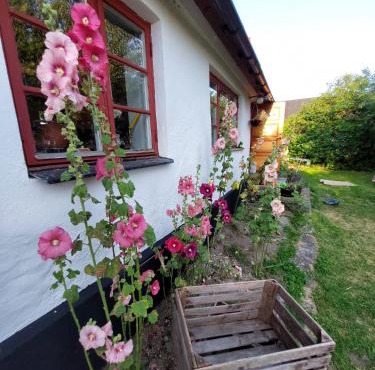 Fridfullt sommarhus mitt på Österlen