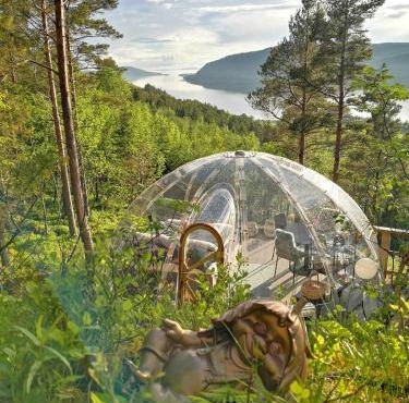 Glassigloo med panoramautsikt - Nordlys og stjernehimmel - Fosen