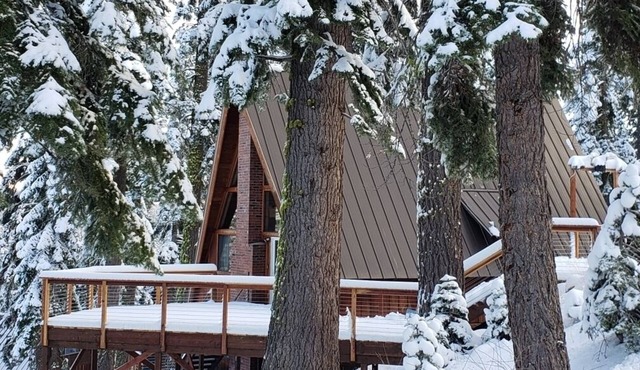 HOME RUN - Experience Year-Round Bliss at our Bear Valley Ski Retreat!