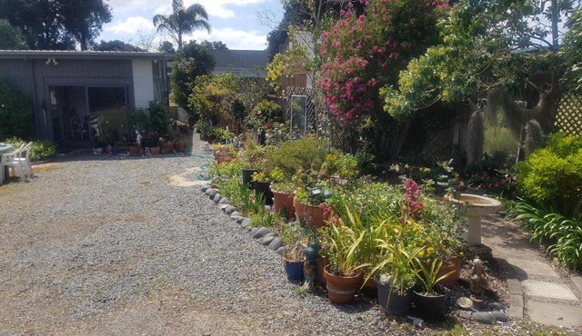 Hosts on the Coast Unwind on Waimaire