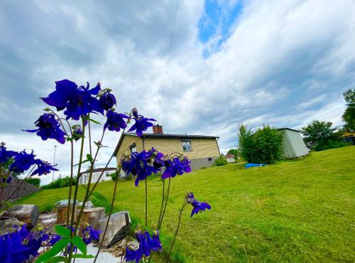 Lovely Home