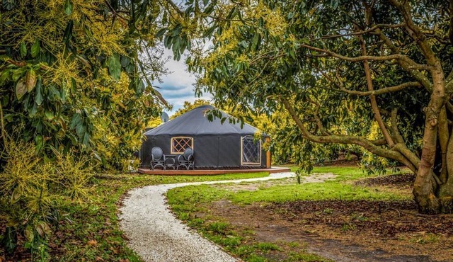 Luxury Camping Yurt with a Hot Tub near the Bay of Plenty, North Island
