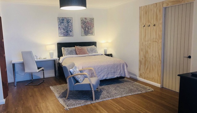 Luxury Studio in Manor Place Dunedin Central