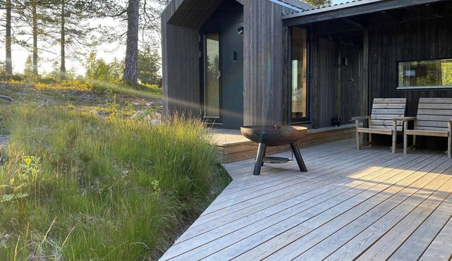 Mountain cabin with sauna at Blefjell