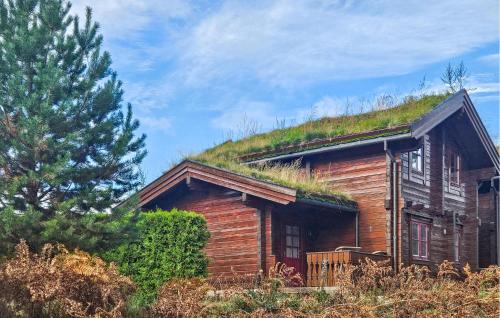 Nice Home In Vrådal With House A Mountain View