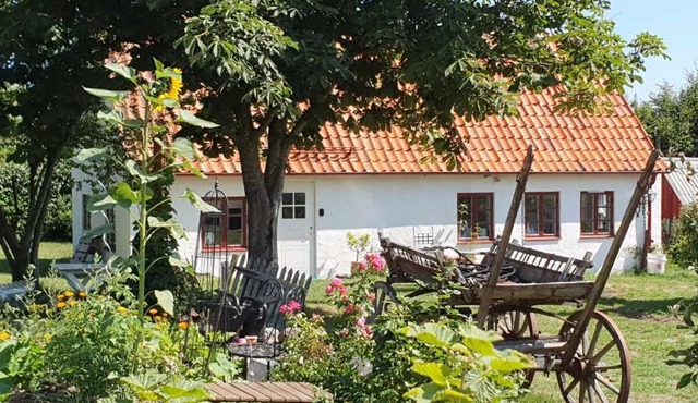 Norrekås Beach Studios