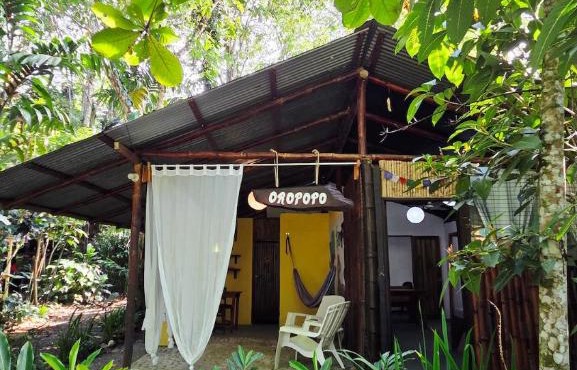 Oropopo - Rustic Jungle Studio, steps to Chiquita Beach