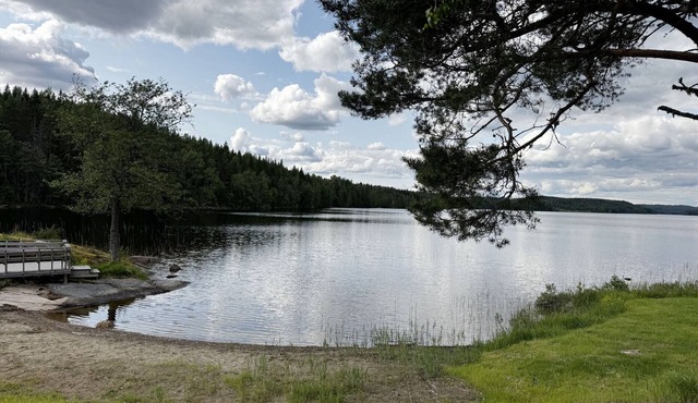 Peaceful holiday home in Skillingsfors, close to nature |SE18033