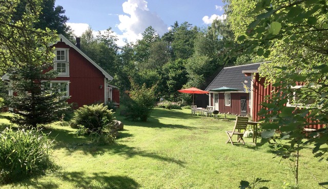 Quiet, idyllic forest home in beautiful nature close to town