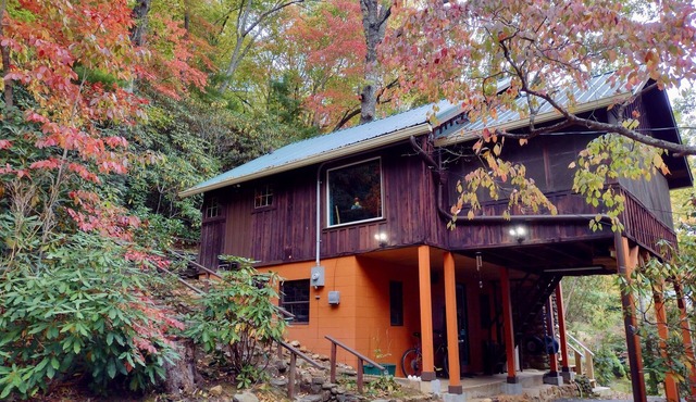 Rustic 1940's Appalachian Summer Cabin w/hot tub - Black Mountain