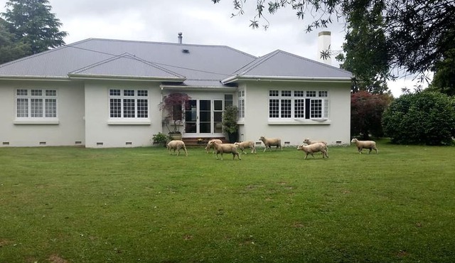 Rustic Farm Accommodation Surrounded by Gorgeous Countryside Views near Lake Karapiro, North Island