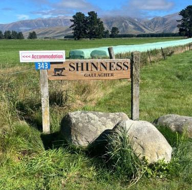 Shinness