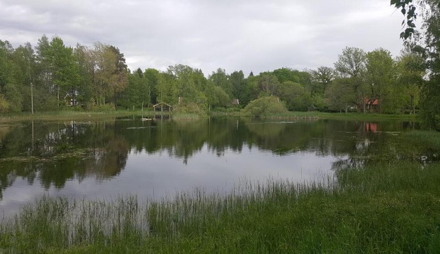 Solvagnen