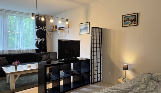 Spacious studio in Hedsjö