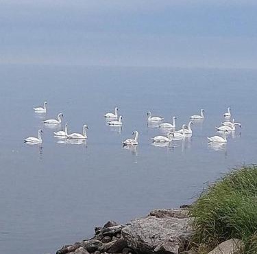 Takvåning-Borgholm