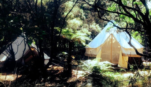 Unique Kaitaia Accommodation for North Island Glamping
