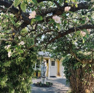Villa Sol B&B and Hostel