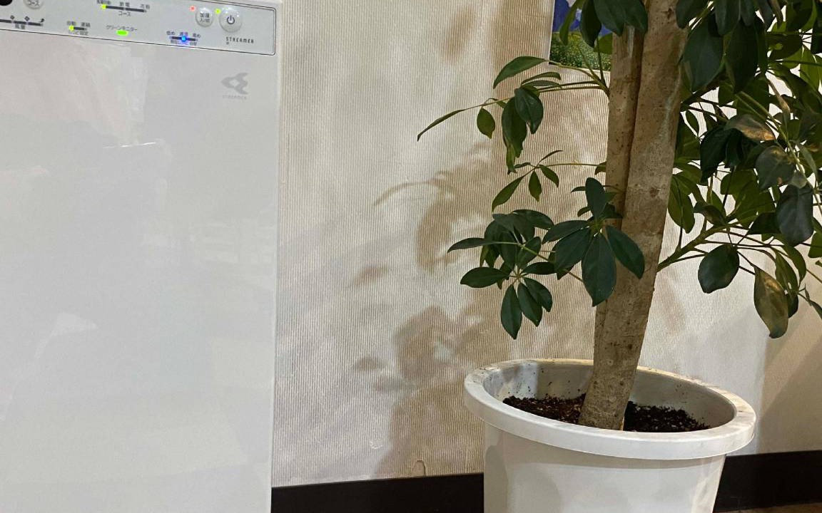 Photo of Others in Hirosaki